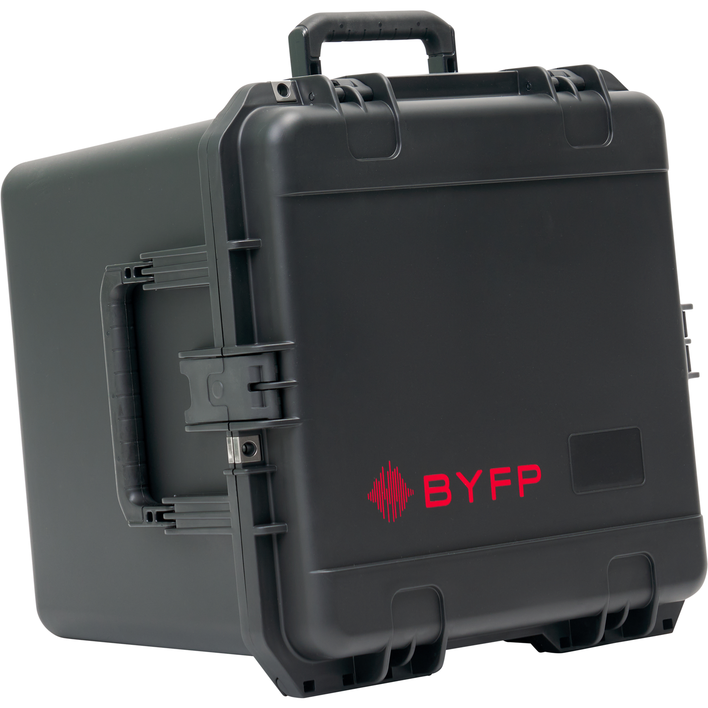 BYFP ipCase CHV-EZPINZM-16P